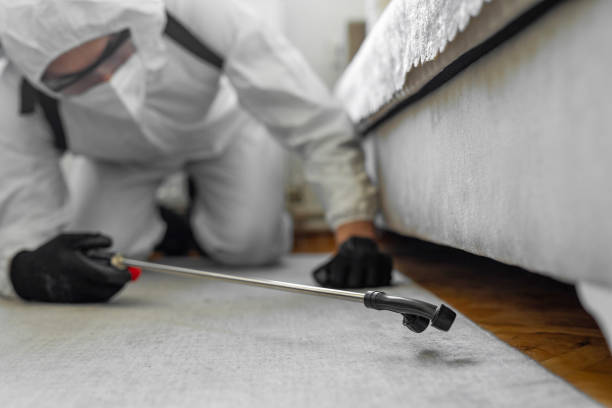 Professional Bed Bug Control technician working in Keokuk County County, IA